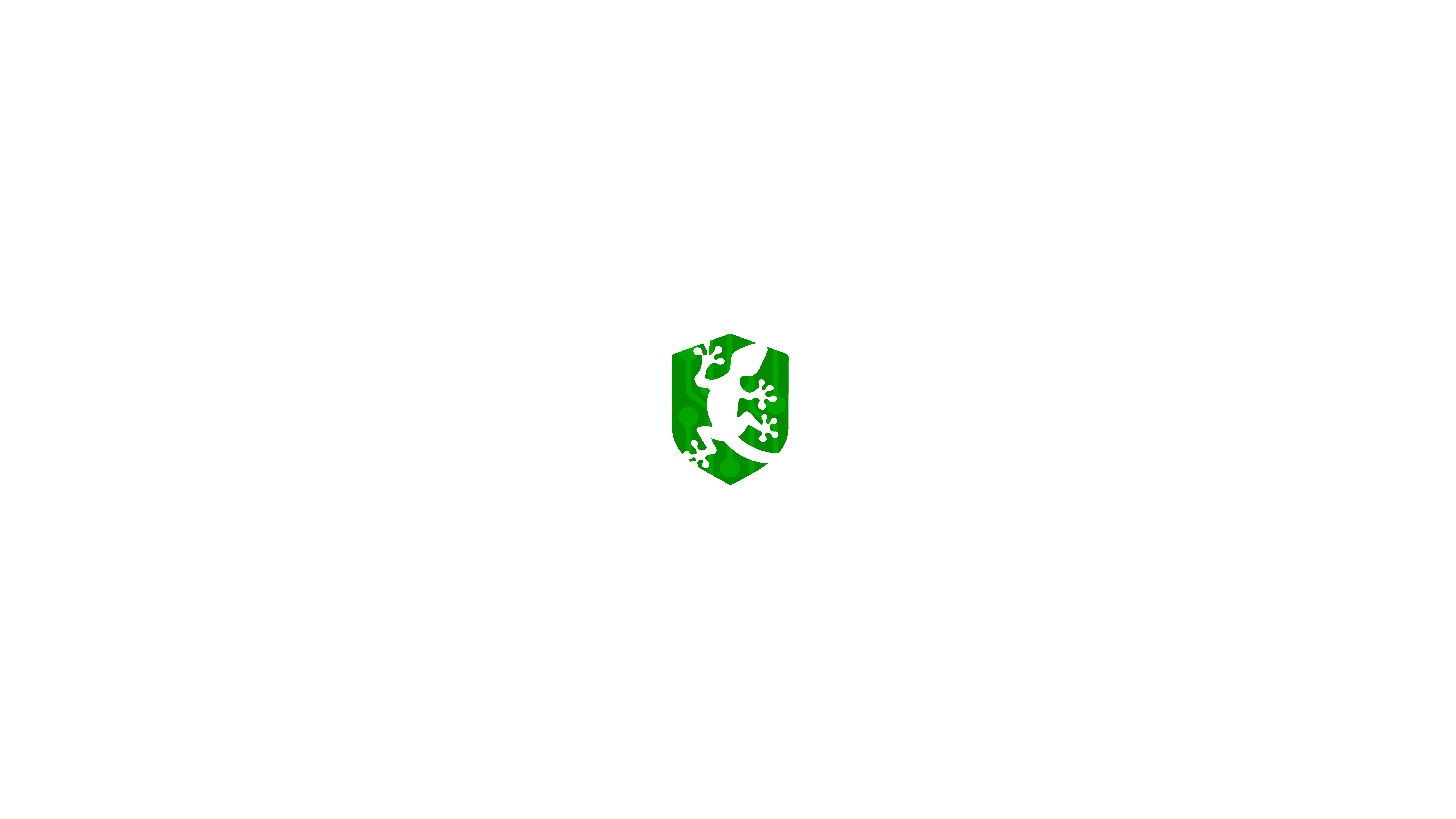 Binary Gecko Sponsor