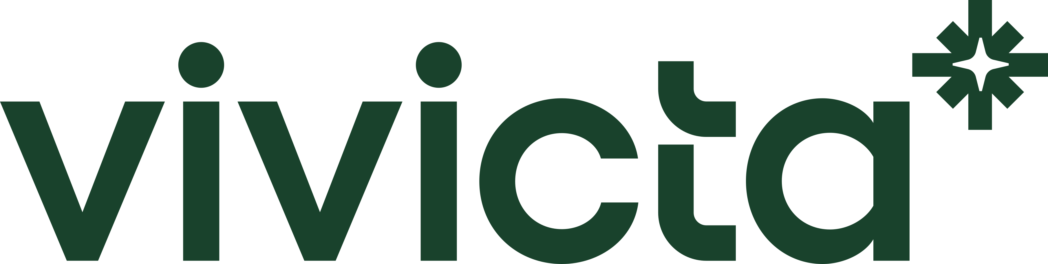 Vivicta Silver Sponsor